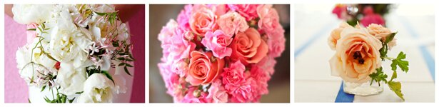 Flowers-–-Blush-and-pinks2