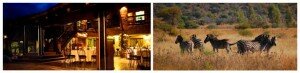 Venue---Zebra-Country-Lodge